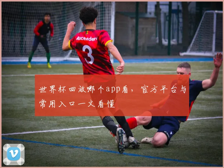 世界杯回放哪个app看，官方平台与常用入口一文看懂