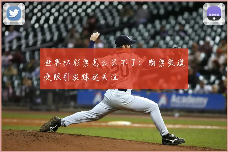 世界杯彩票怎么买不了:购票渠道受限引发球迷关注