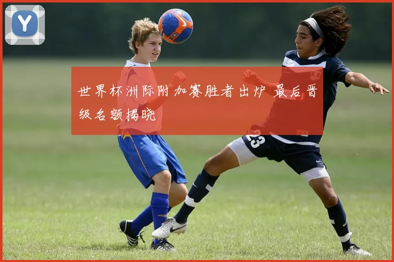 世界杯洲际附加赛胜者出炉 最后晋级名额揭晓