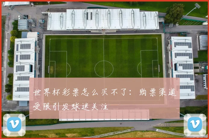 世界杯彩票怎么买不了:购票渠道受限引发球迷关注