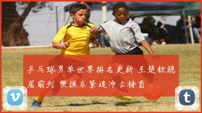 乒乓球男单世界排名更新 王楚钦稳居前列 樊振东紧追冲击榜首